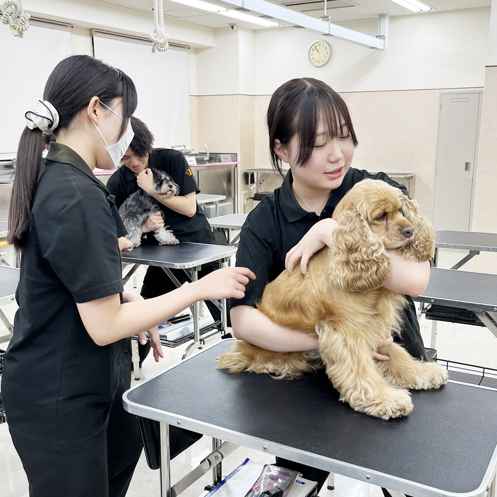 ２年生の看護実習
